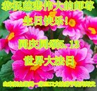 ���ֹ�,ɽ���󷨵��ӹ������編�ִ�����ʦ�𻪵�(23��)