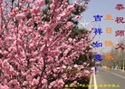 ���ֹ�,�ػʵ��󷨵��ӹ������編�ִ�����ʦ�𻪵�(22��)