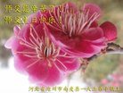 ���ֹ�,�ӱ��󷨵��ӹ������編�ִ�����ʦ�𻪵�(23��)