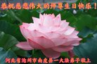 ���ֹ�,�ӱ��󷨵��ӹ������編�ִ�����ʦ�𻪵�(23��)
