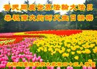 Published on 5/11/2018 ���ֹ�,֧�ִ󷨵ø����ж����ʦ����֮��