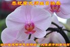 Published on 5/10/2018 ���ֹ�,�󷨴ȱ��ȶȡ�����������ڸж�
