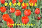 Published on 5/12/2018 ���ֹ�,��½���ڹ�ף���ʦ��������