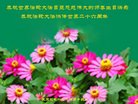Published on 5/10/2018 ���ֹ�,����ҵ�󷨵��ӹ������編�ִ�����ʦ�𻪵�(32��)
