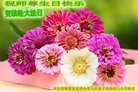Published on 5/10/2018 ���ֹ�,����ϵͳ�󷨵��ӹ������編�ִ�����ʦ�𻪵�(22��)