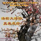 ���ֹ�,�ൺ�󷨵��ӹ������編�ִ�����ʦ�𻪵�(20��)