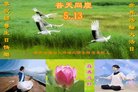 ���ֹ�,��������󷨵��ӹ������編�ִ�����ʦ�𻪵�(22��)