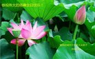 ���ֹ�,�ӱ��󷨵��ӹ������編�ִ�����ʦ�𻪵�(25��)