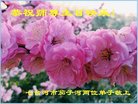 ���ֹ�,�������󷨵��ӹ������編�ִ�����ʦ�𻪵�(23��)