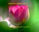 Published on 5/10/2018 ���ֹ�,����ϵͳ�󷨵��ӹ������編�ִ�����ʦ�𻪵�(20��)