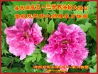 Published on 5/10/2018 ���ֹ�,����ҵ�󷨵��ӹ������編�ִ�����ʦ�𻪵�(33��)