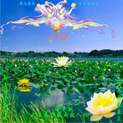 ���ֹ�,ɽ���󷨵��ӹ������編�ִ�����ʦ�𻪵�(26��)