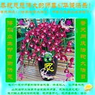 ���ֹ�,ɽ���󷨵��ӹ������編�ִ�����ʦ�𻪵�(26��)