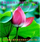 ���ֹ�,ɽ���󷨵��ӹ������編�ִ�����ʦ�𻪵�(28��)