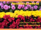 Published on 5/10/2018 ���ֹ�,����ϵͳ�󷨵��ӹ������編�ִ�����ʦ�𻪵�(20��)