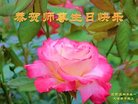 ���ֹ�,ʯ��ׯ�󷨵��ӹ������編�ִ�����ʦ�𻪵�(19��)