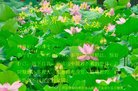 ���ֹ�,�ȷ��󷨵��ӹ������編�ִ�����ʦ�𻪵�(22��)