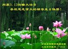 ���ֹ�,�ӱ��󷨵��ӹ������編�ִ�����ʦ�𻪵�(20��)