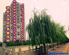 Published on 5/12/2018 ���ֹ�,����ҵ�󷨵��ӹ������編�ִ�����ʦ�𻪵�(26��)