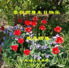 ���ֹ�,����ʡ�󷨵��ӹ������編�ִ�����ʦ�𻪵�(25��)