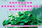 Published on 5/12/2018 ���ֹ�,���Ƿ���Ѻ�Ĵ󷨵��ӹ��ط��ִ�����ʦ�𻪵�(23��)