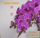 ���ֹ�,�㶫�󷨵��ӹ�ףʦ�������(26��)