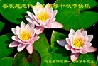 ���ֹ�,�����󷨵��ӹ�ףʦ�������(31��)