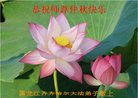 ���ֹ�,�������󷨵��ӹ�ףʦ�������(21��)