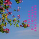 ���ֹ�,����󷨵��ӹ�ףʦ�������(18��)