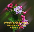 ���ֹ�,����󷨵��ӹ�ףʦ�������(23��)