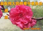 ���ֹ�,�ӱ��󷨵��ӹ�ףʦ�������(21��)