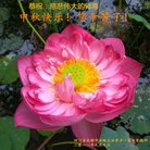 ���ֹ�,�ɶ��󷨵��ӹ�ףʦ�������(20��)