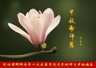 ���ֹ�,�ӱ��󷨵��ӹ�ףʦ�������(20��)