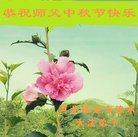 ���ֹ�,�����󷨵��ӹ�ףʦ�������(19��)