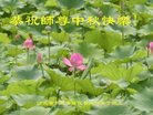 ���ֹ�,�ӱ��󷨵��ӹ�ףʦ�������(20��)