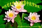 ���ֹ�,�����󷨵��ӹ�ףʦ�������(19��)