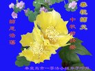 ���ֹ�,�ػʵ��󷨵��ӹ�ףʦ�������(21��)