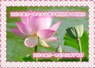 ���ֹ�,ʯ��ׯ�󷨵��ӹ�ףʦ�������(23��)