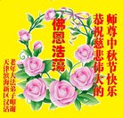 ���ֹ�,���󷨵��ӹ�ףʦ�������(20��)