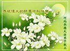 ���ֹ�,�ӱ��󷨵��ӹ�ףʦ�������(16��)