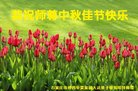 ���ֹ�,ʯ��ׯ�󷨵��ӹ�ףʦ�������(23��)