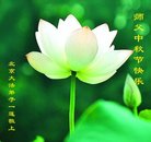 ���ֹ�,�����󷨵��ӹ�ףʦ�������(20��)