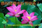 ���ֹ�,�������󷨵��ӹ�ףʦ�������(20��)