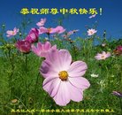 ���ֹ�,����󷨵��ӹ�ףʦ�������(19��)
