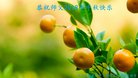 ���ֹ�,�żҿڴ󷨵��ӹ�ףʦ�������(19��)
