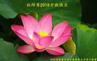 ���ֹ�,�żҿڴ󷨵��ӹ�ףʦ�������(19��)