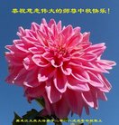 ���ֹ�,����󷨵��ӹ�ףʦ�������(19��)