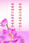 ���ֹ�,�����󷨵��ӹ�ףʦ�������(27��)