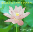 ���ֹ�,���ϴ󷨵��ӹ�ףʦ�������(20��)