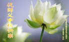 ���ֹ�,�żҿڴ󷨵��ӹ�ףʦ�������(19��)